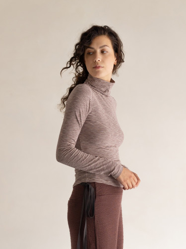 Turtleneck longsleeves stripes